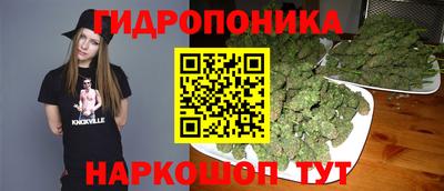 индика Краснодар