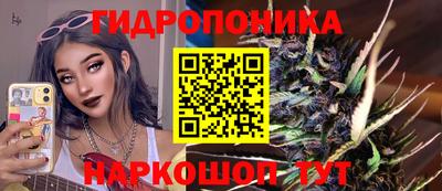 твердый Краснознаменск