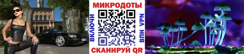 купить закладку  Клинцы  Псилоцибиновые грибы ЛСД 