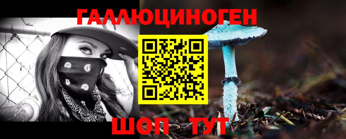 Галлюциногенные грибы Psilocybe Клинцы